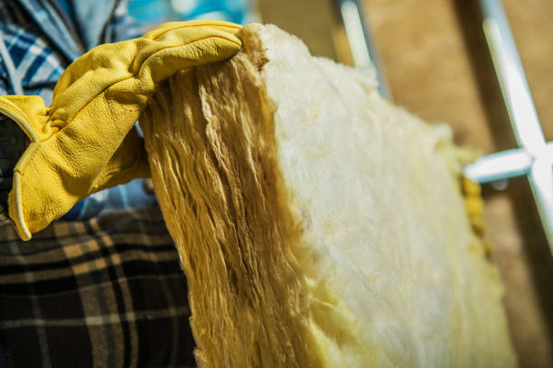Best Types of Insulation in Santee, SC